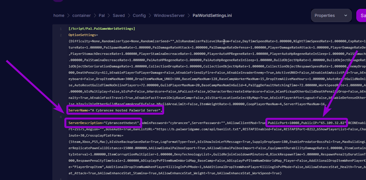 'bIsPublic',ServerName','ServerDescription','PublicIP', and 'PublicPort' outlined with arrow