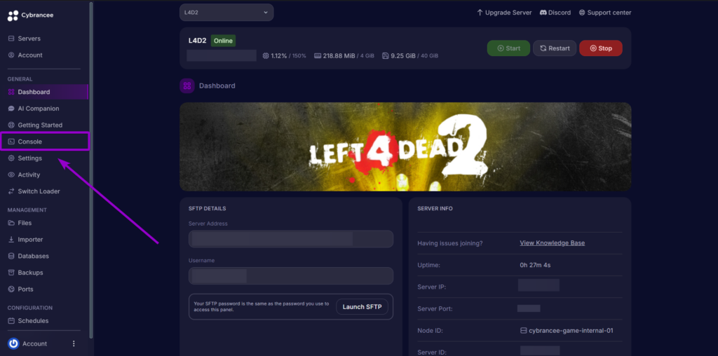 L4D2: Selecting the Console tab