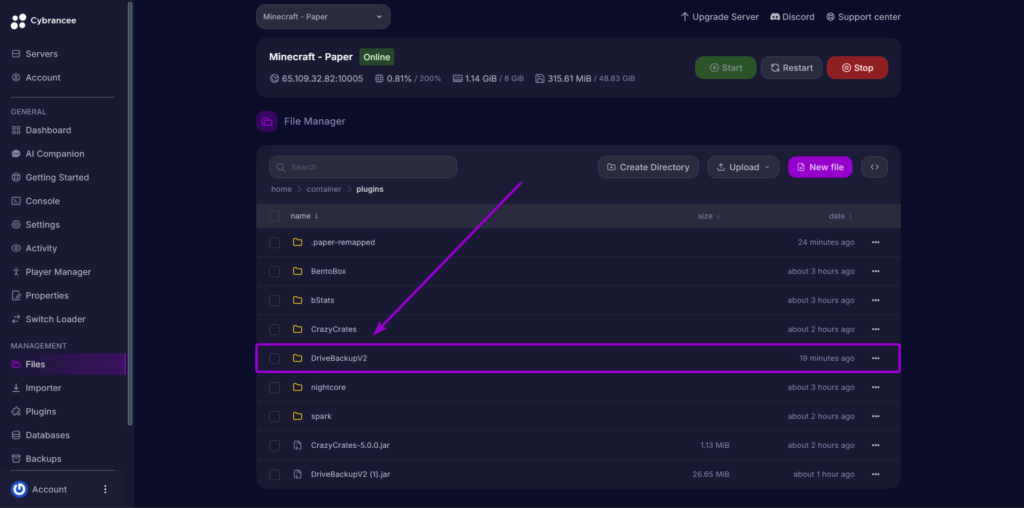 Locating the DriveBackupV2 folder inside the Minecraft server plugins directory