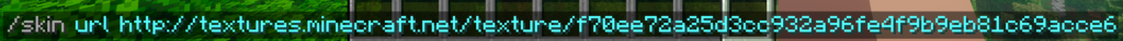 pasting a direct image link after the /skin url command in the Minecraft game chat