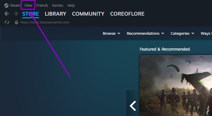 Clicking the View menu in the top left corner of the Steam desktop client