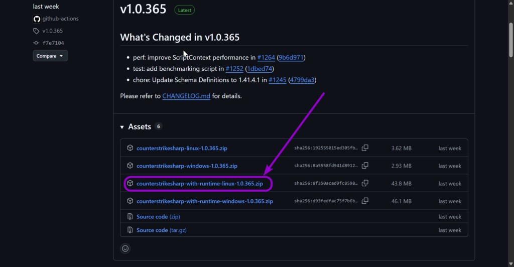 'CounterStrikeSharp' oulined with arrow