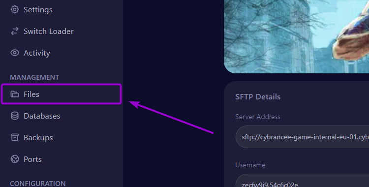 Project Zomboid - Cybrancee panel Files Tab outlined with arrow
