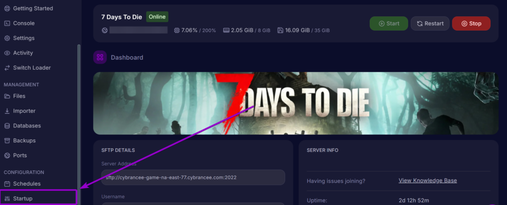 Cybrancee Panel 7 Days To Die Startup Tab Outlined