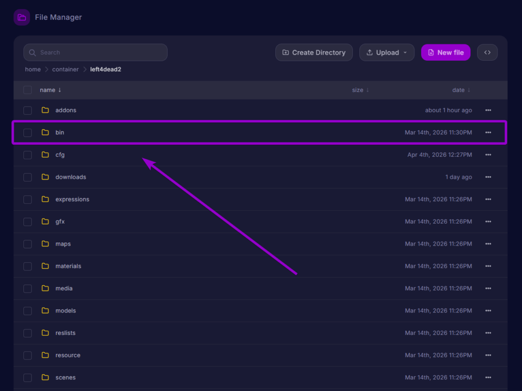 Opening the bin folder located inside the main left4dead2 directory