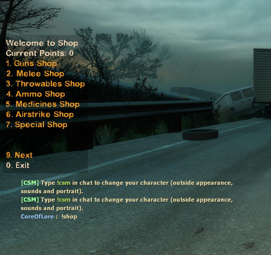 Typing the shop command in Left 4 Dead 2 to open the visual store menu