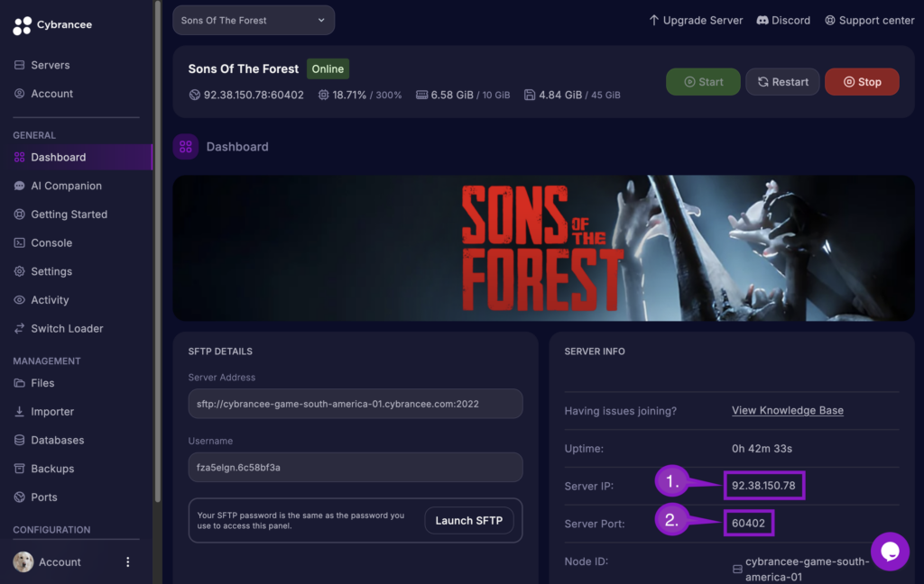 Cybrancee Panel showing Sons of the Forest server IP and port in Server Info section.