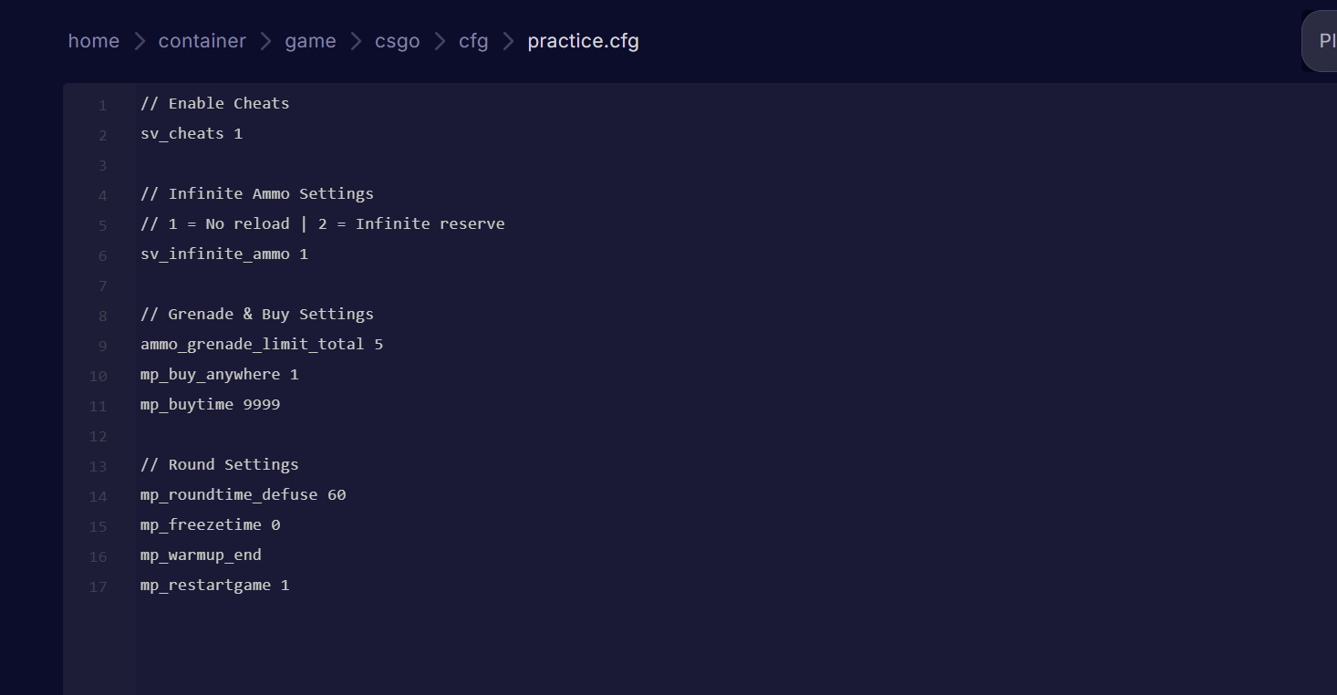 'Infinte ammo commands'
