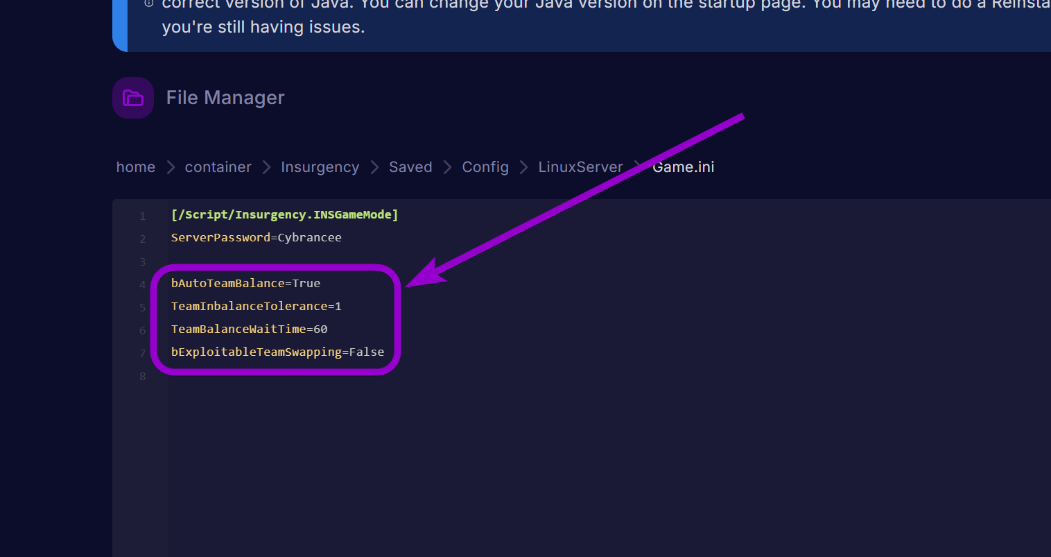 'auto team balance' commands outlined with arrow