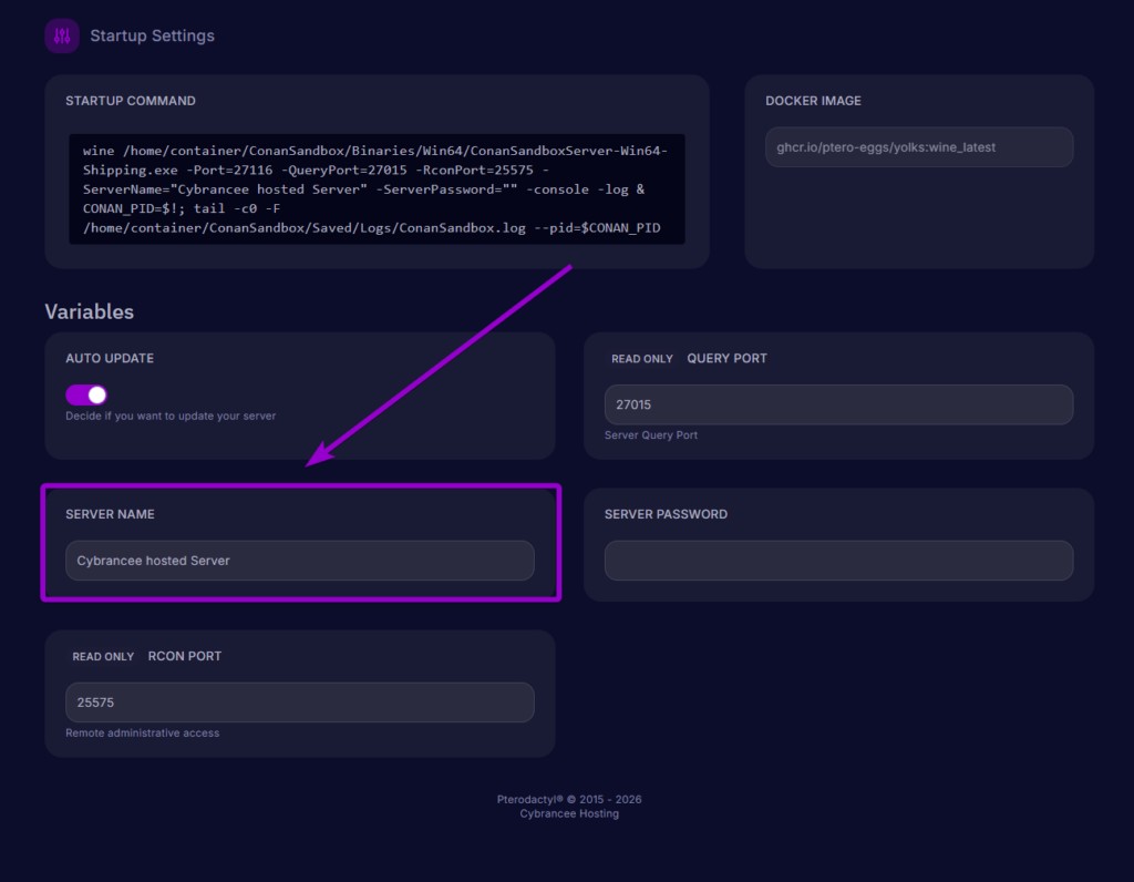 Arrow pointing to the Server Name input box in the Startup settings