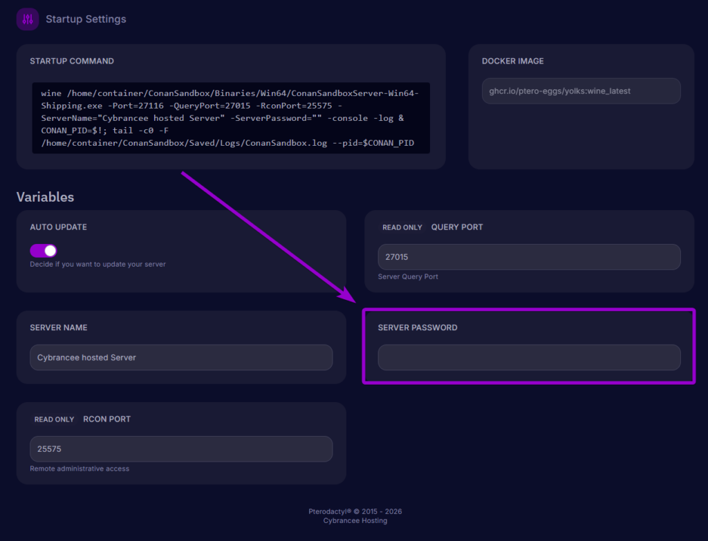 Arrow pointing to the Server Password input box in the Startup settings