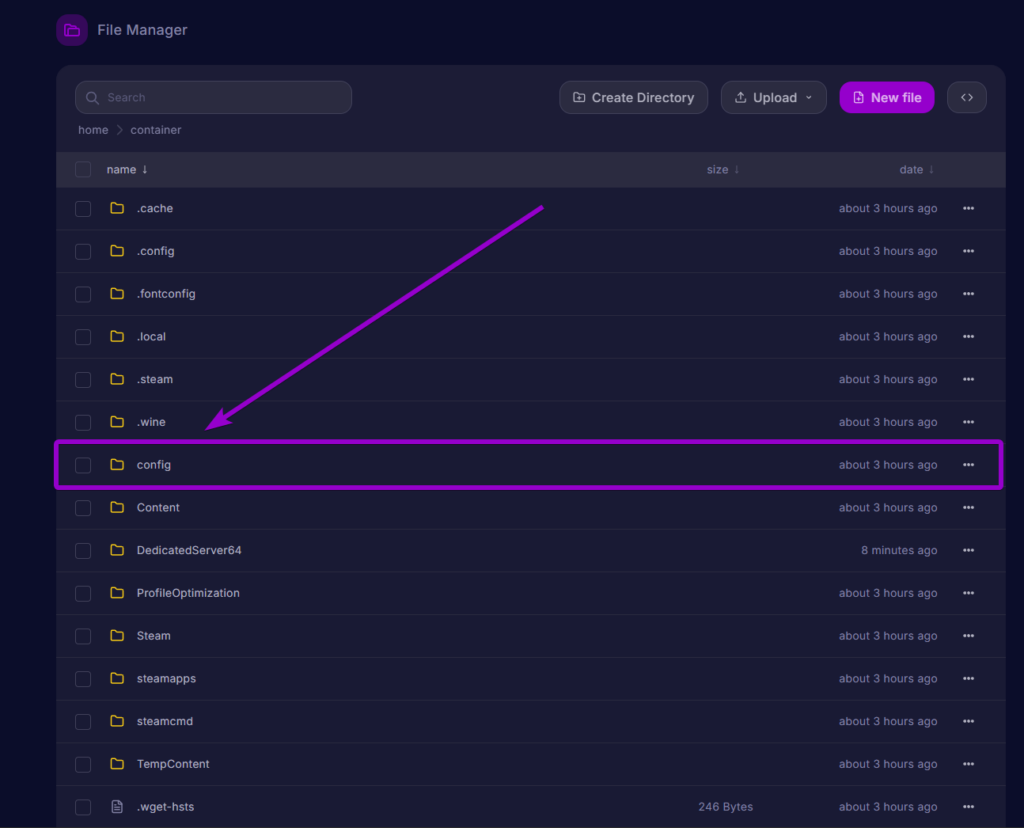The server file manager showing the config folder.