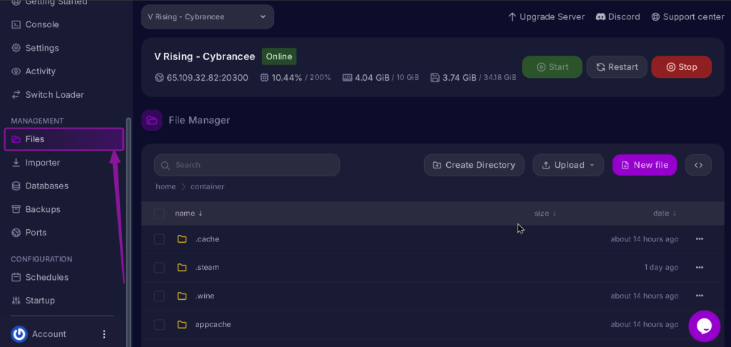 Vrising Server Files Tab higlighted with arrow.