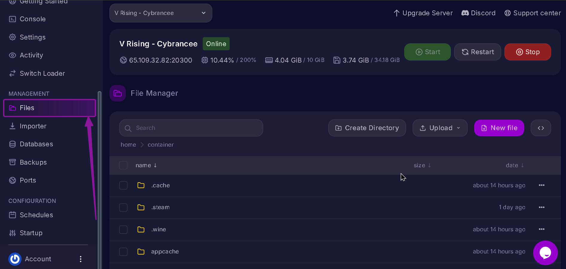 Vrising Server Files Tab higlighted with arrow.