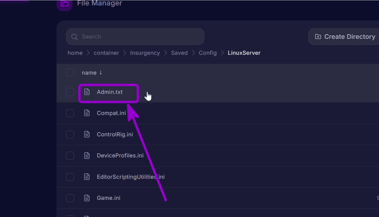 'admin.txt'file outlined with arrow