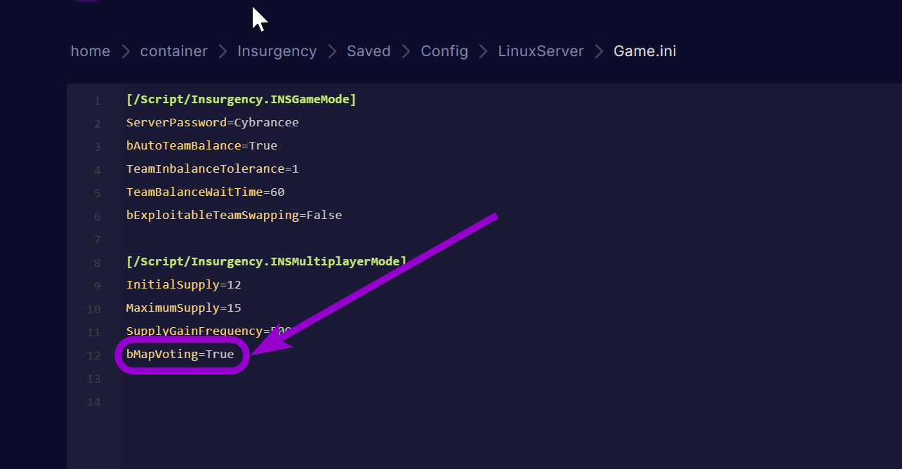 'bMapVoting=True' outlined with arrow