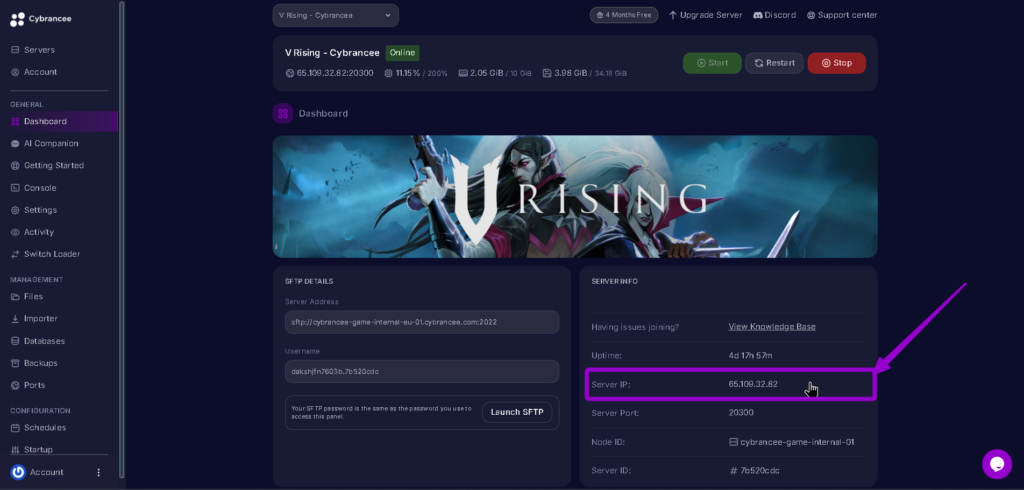 Vrising server ip highlighted with arrow