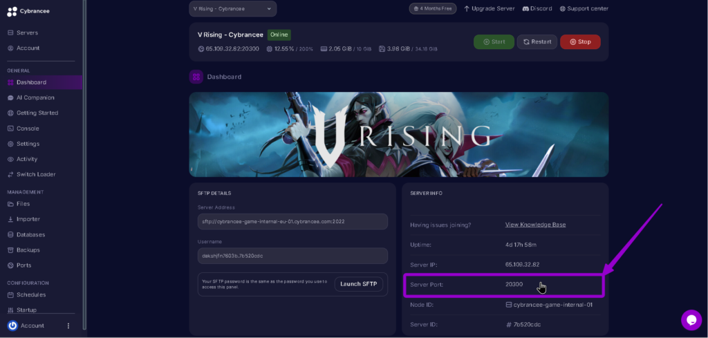 Vrising server port highlighted with arrow
