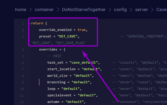 The worldgenoverride lua file editor with the cave preset code block highlighted.