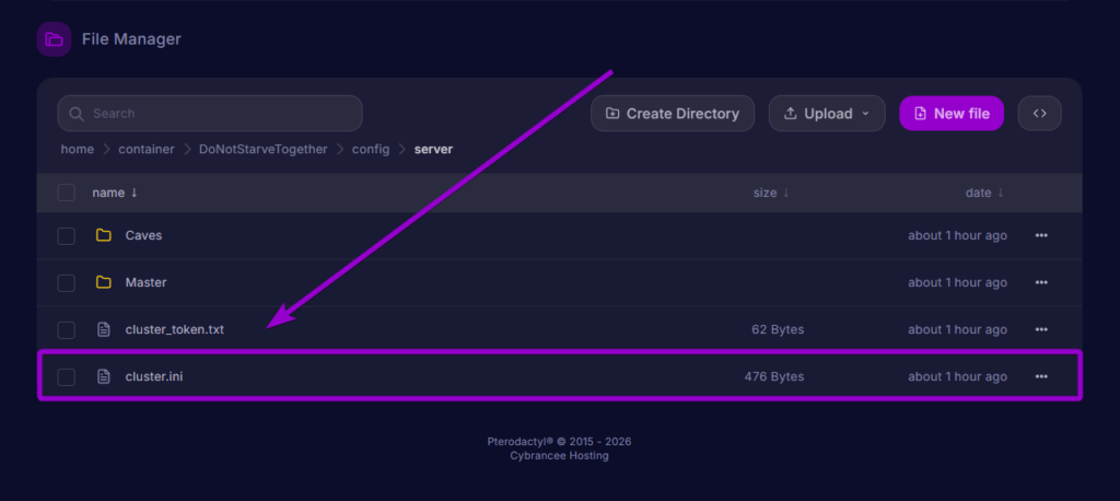 The cluster ini configuration file located inside the server directory.