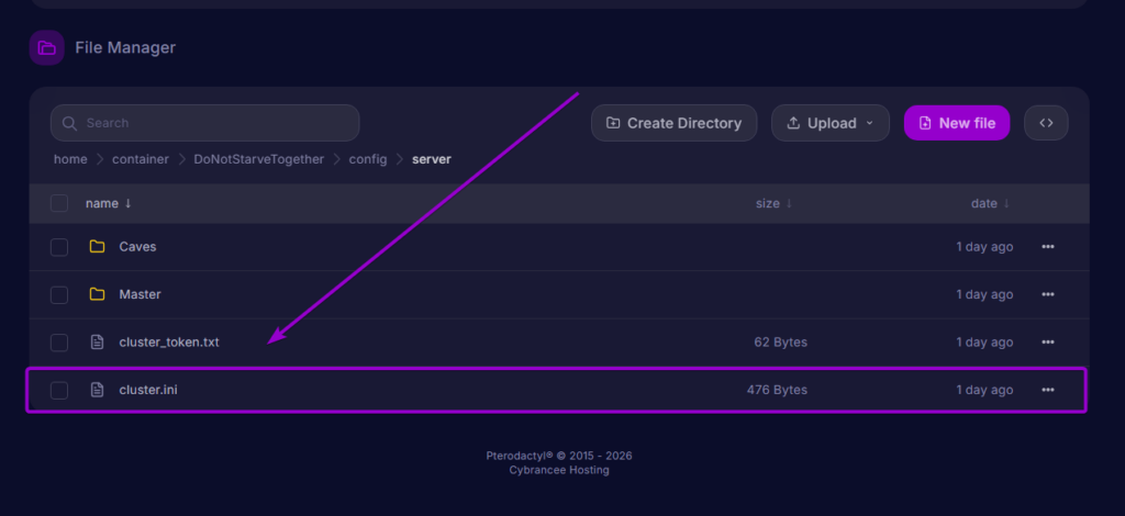 The cluster ini configuration file inside the server directory.