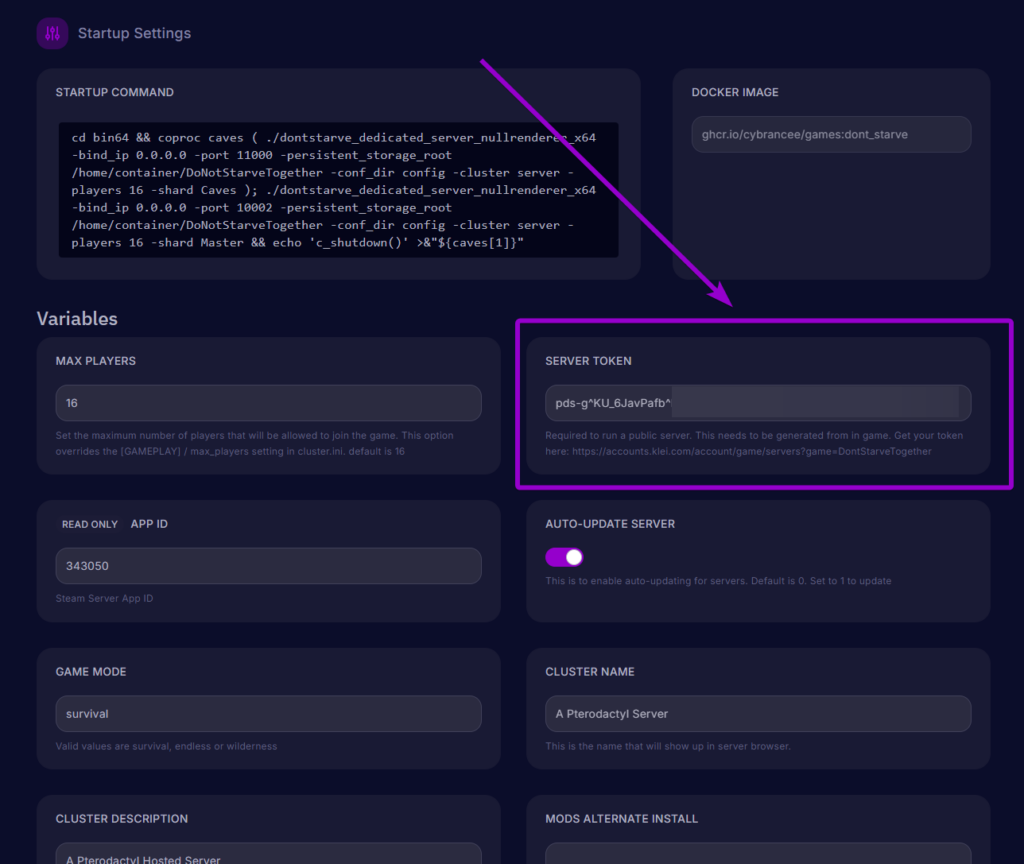 The Server Token variable text field within the Startup Settings page.