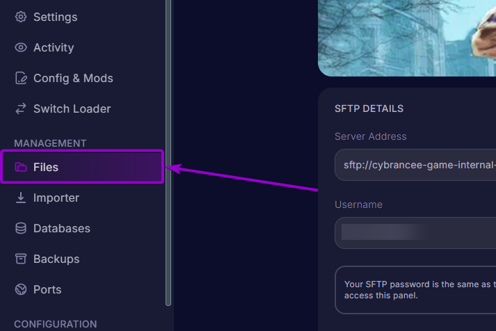 Project Zomboid - 'Files' tab outlined with arrow (rm)
