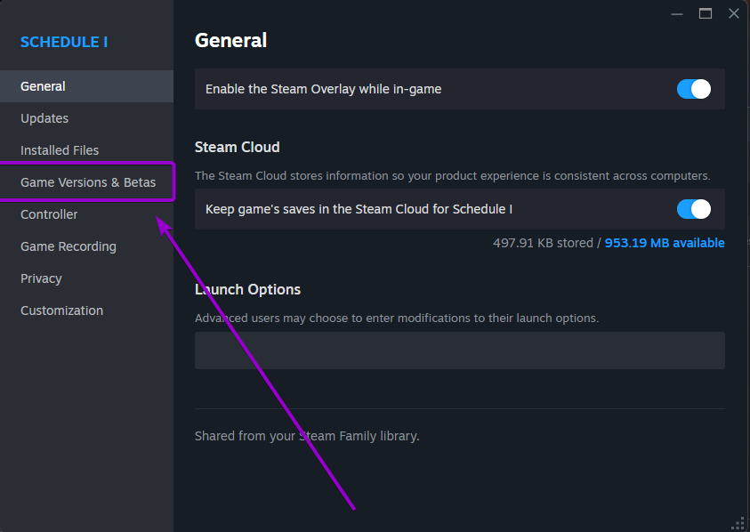 Steam game Properties window with the Game Versions and Betas tab highlighted in sidebar