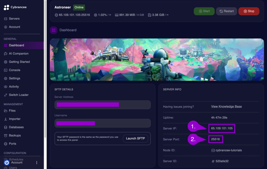 Astroneer Server Details Highlighted