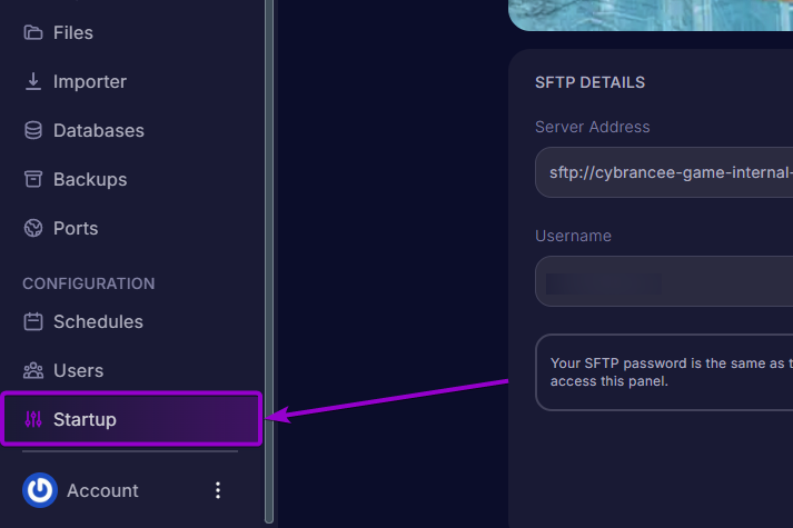 Project Zomboid - 'Startup' tab outlined with arrow (rm)