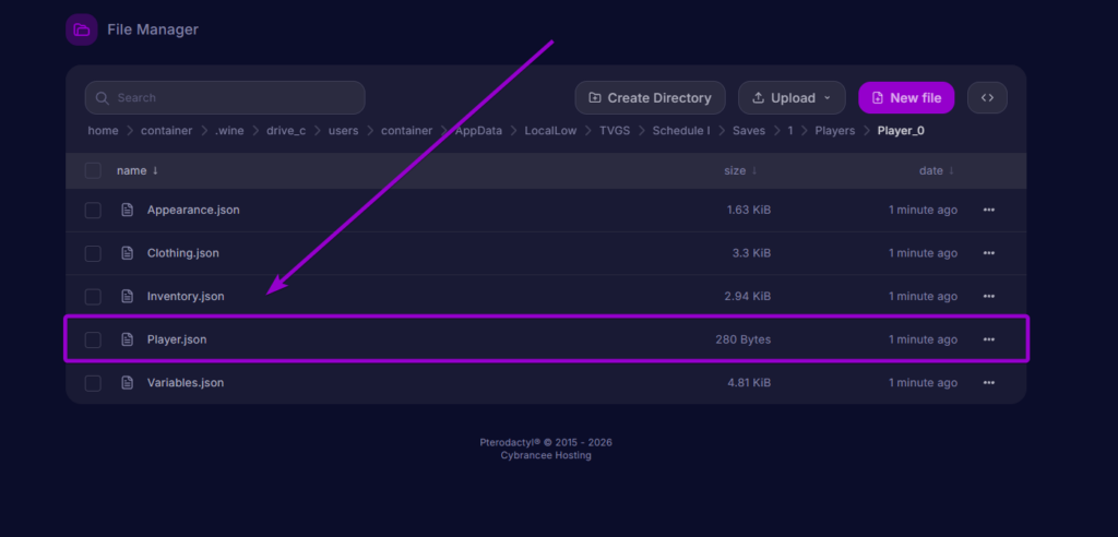 Player.json file selected inside the Player_0 directory
