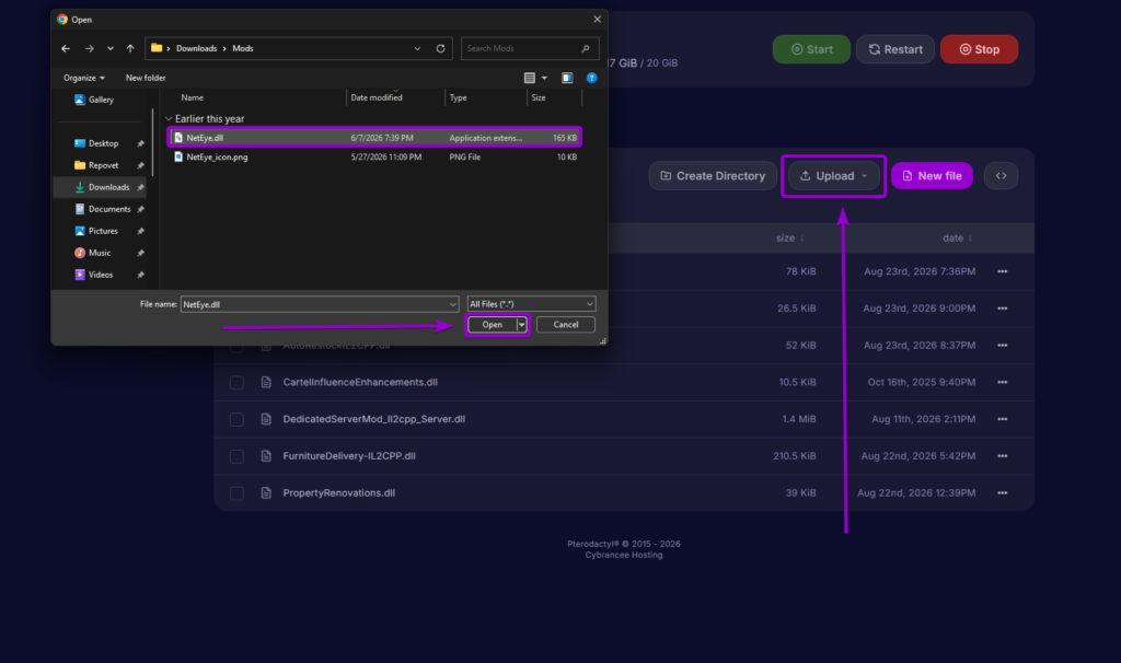 Uploading NetEye.dll to the server Mods folder in the File Manager