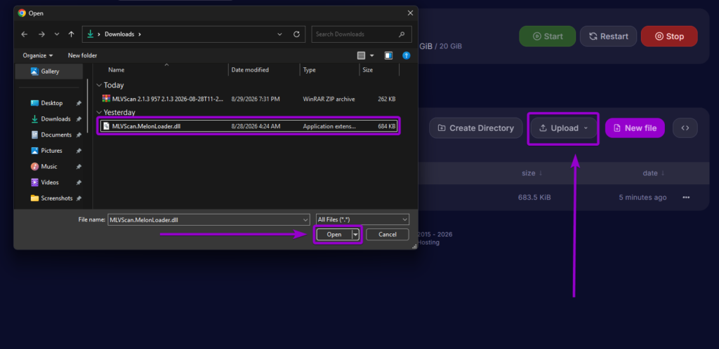 Viewing the generated MLVScan directory inside the UserData folder in the server file manager