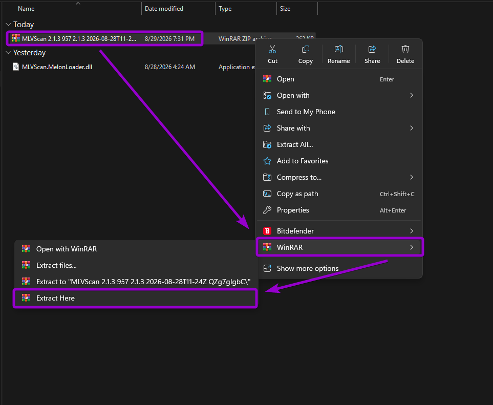 Extracting the MLVScan plugin zip archive using WinRAR in Windows File Explorer