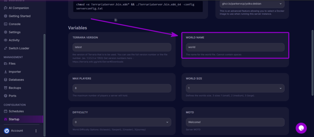 Setting the World Name field in the Startup tab to match the uploaded single-player world.