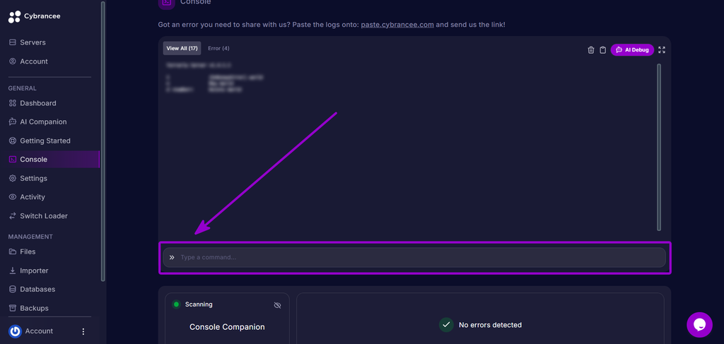 Locating the command input field in the Cybrancee console.