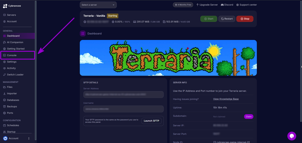 Selecting the Console tab from the Cybrancee control panel sidebar.