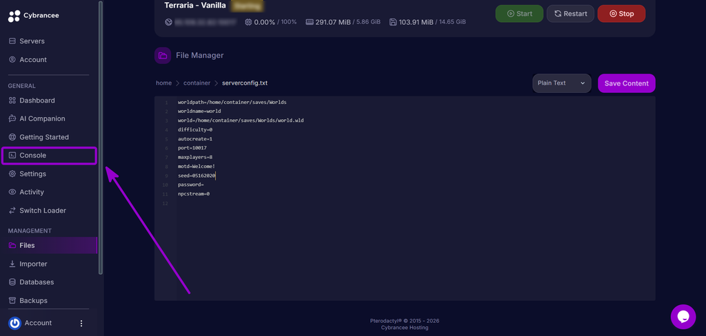 Selecting the Console tab from the Cybrancee control panel sidebar.