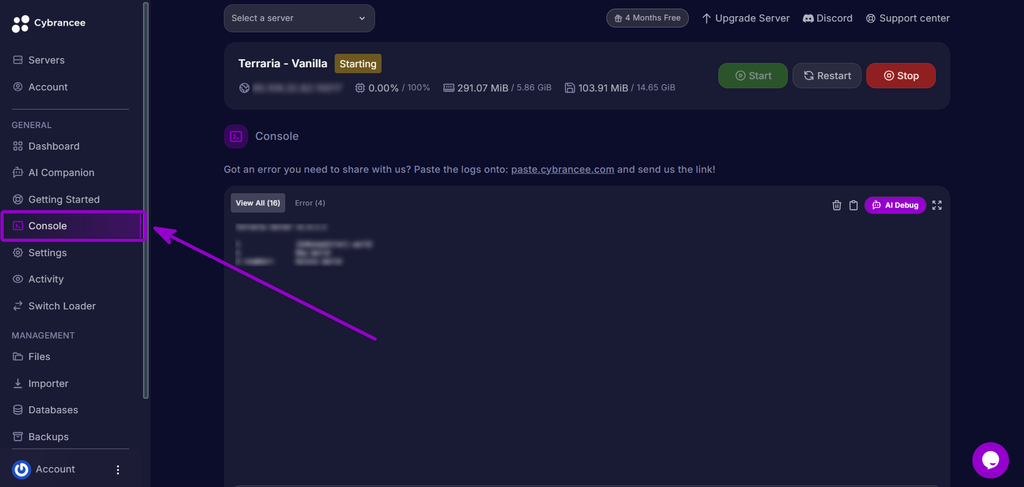 Selecting the Console tab from the Cybrancee control panel sidebar.
