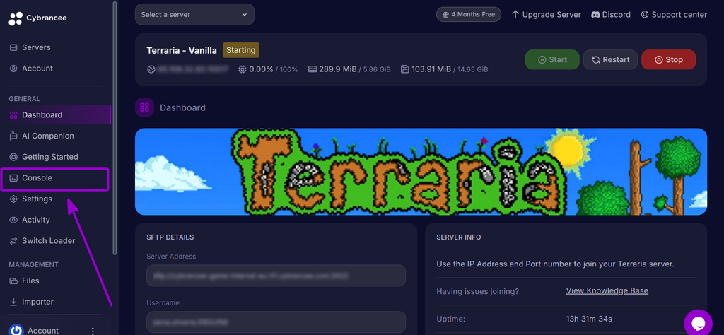 Selecting the Console tab from the Cybrancee control panel sidebar.