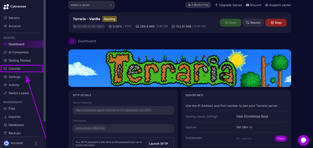 Selecting the Console tab from the Cybrancee control panel sidebar.