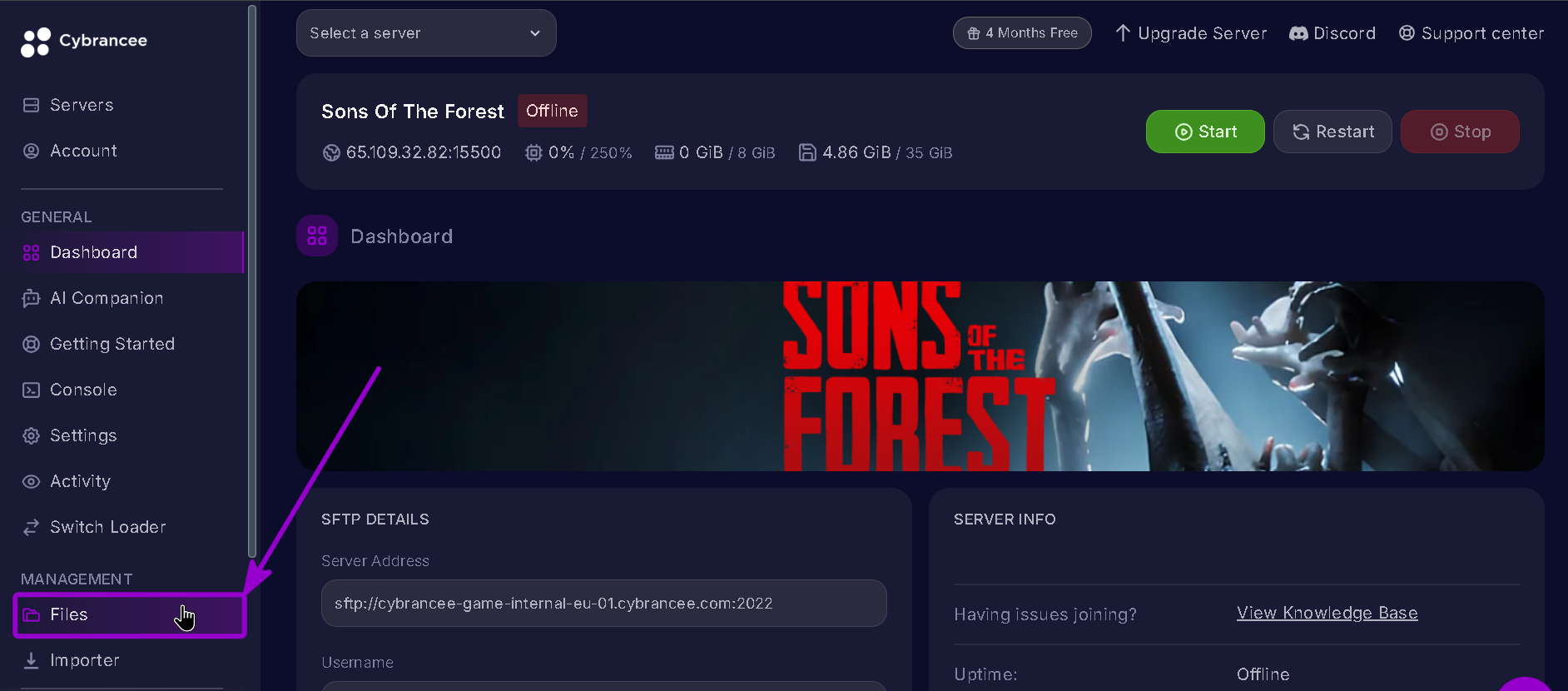Sons of The Forest dashboard open Files tab highlighted with arrow