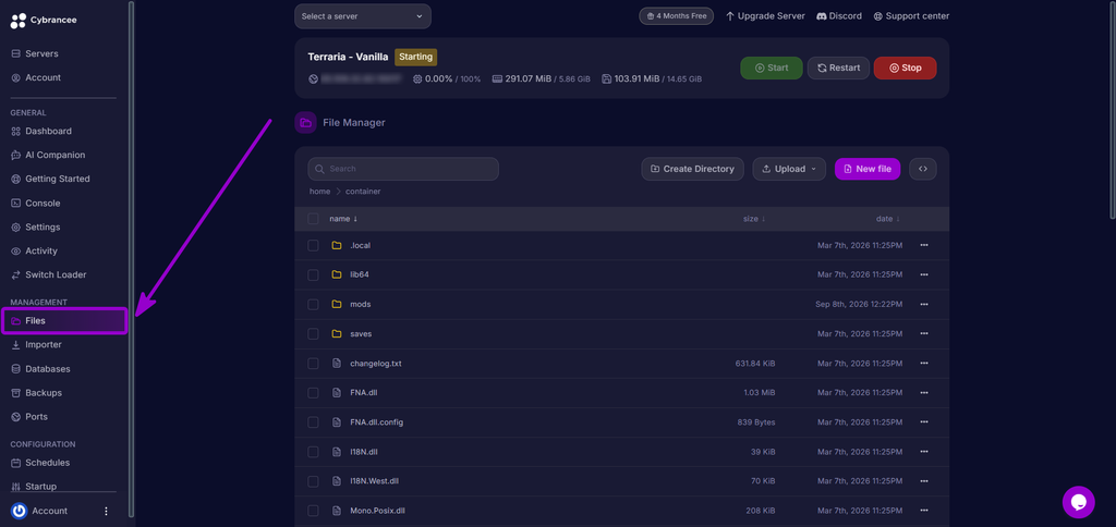 Selecting the Files tab from the Cybrancee control panel sidebar.