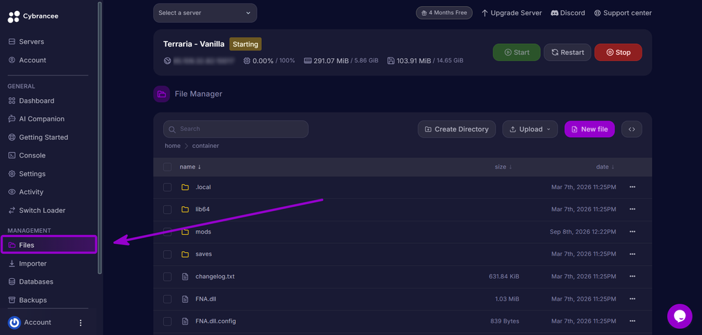Selecting the Files tab from the Cybrancee control panel sidebar.