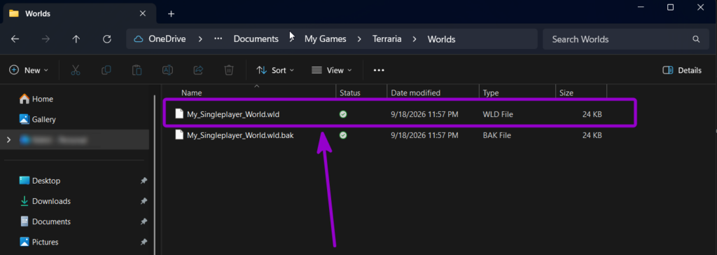 Locating the local Terraria world files in the Documents My Games folder on Windows.