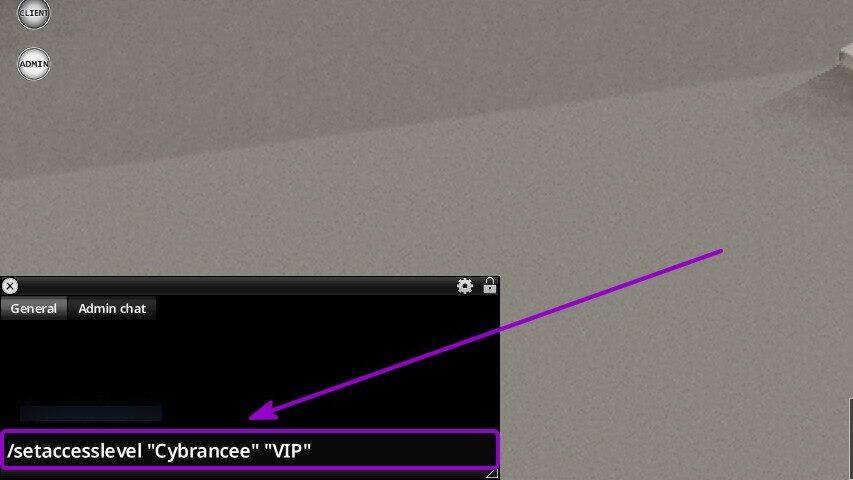 Project Zomboid - Command to assign a custom role to a user
