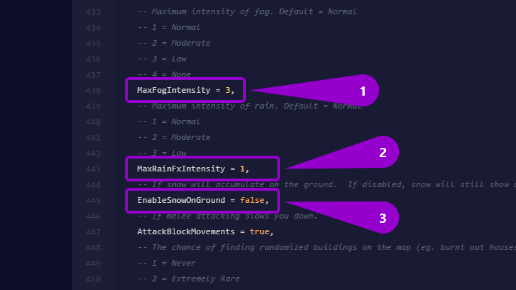Project Zomboid - 'MaxFogIntensity', 'MaxRainFxIntensity' and 'EnableSnowOnGround' options outlined with arrow