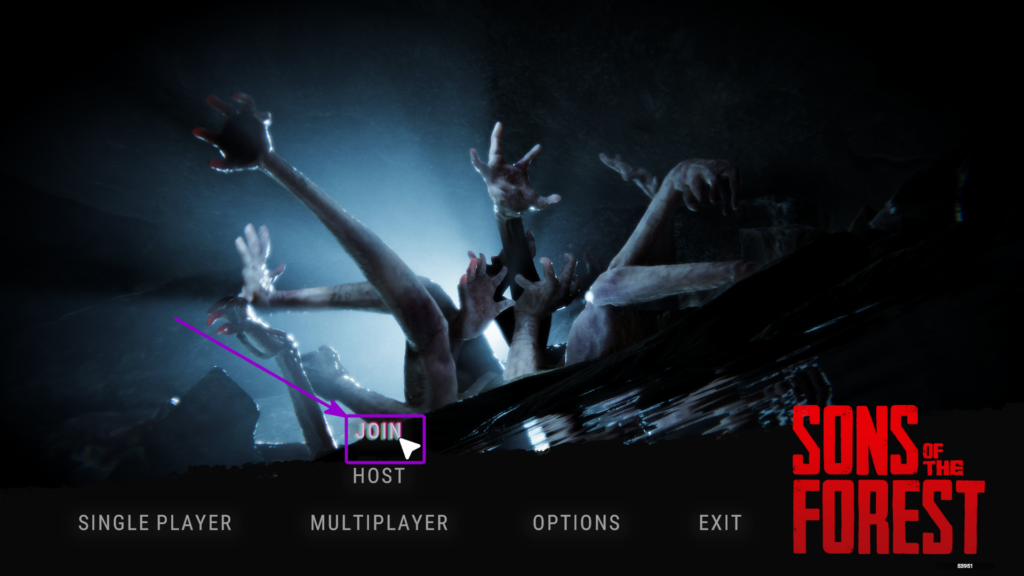 SOTF open join in multiplayer highlighted with arrow
