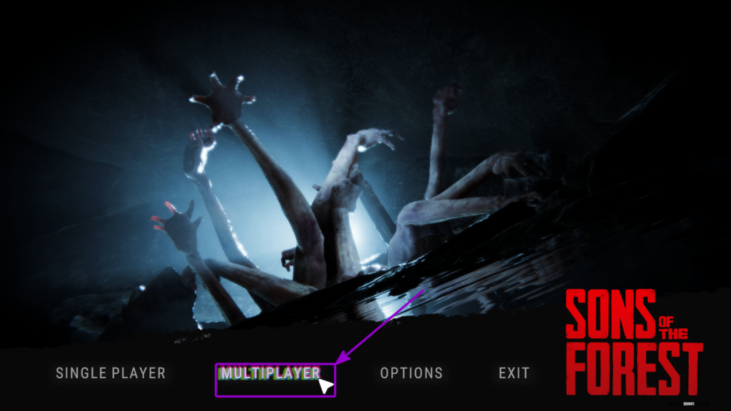 SOTF open multiplayer highlighted with arrow