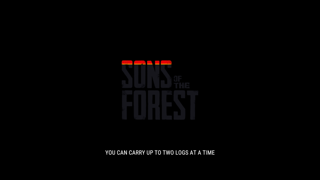 SOTF password correct game loading